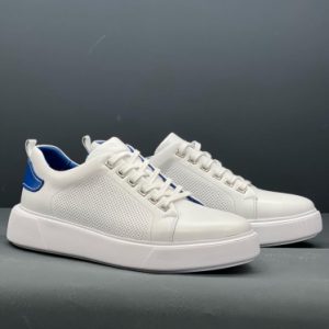 barron-6m-16750912926457 Barron